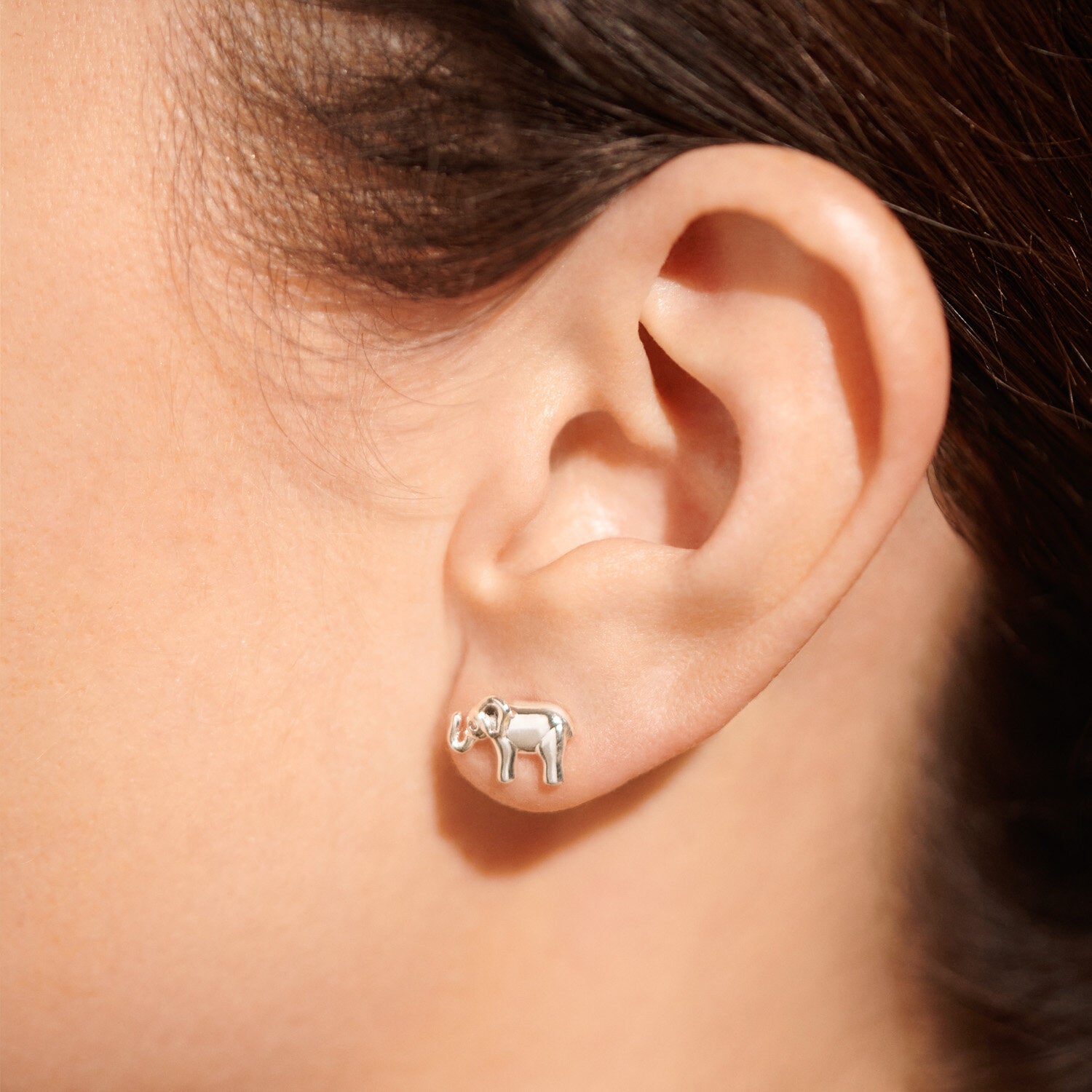 Beautifully Boxed 'Lucky Elephant' Earrings - Joma Jewellery