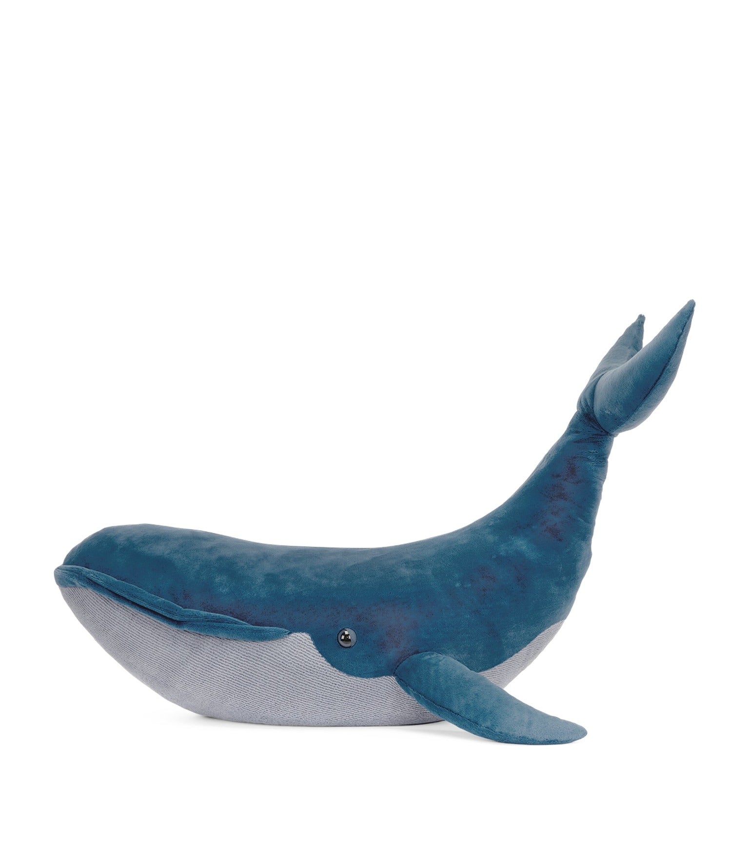 Gilbert the Great Blue Whale