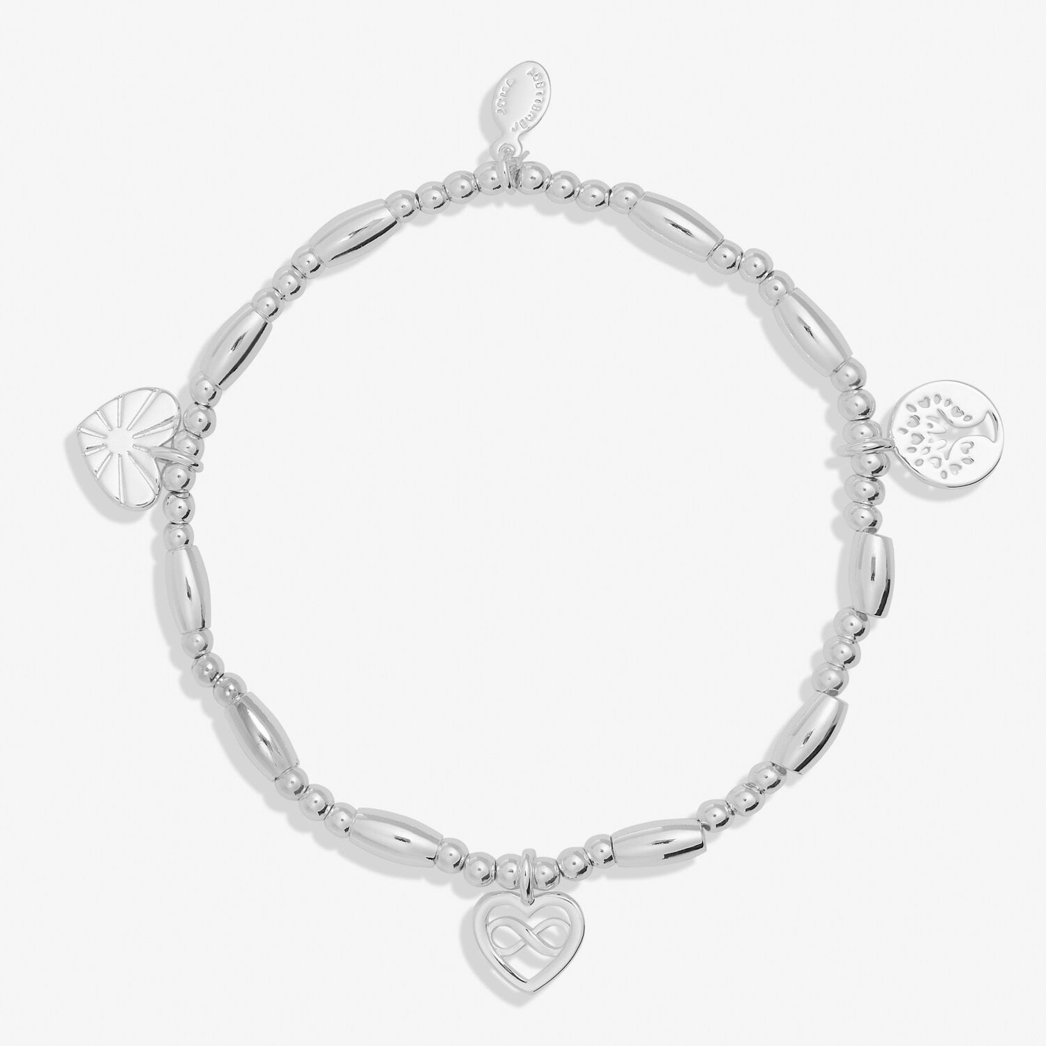 Life's A Charm 'Family' Bracelet In Silver Plating