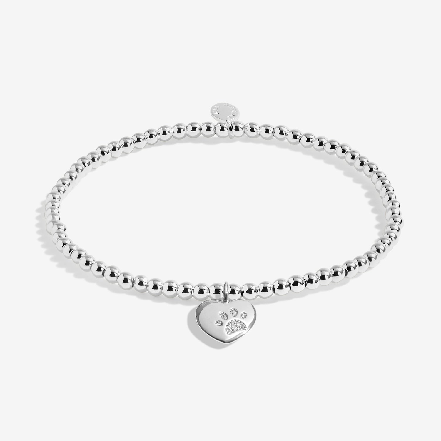 A Little 'Pets Leave Pawprints On Our Hearts' Silver Plated Bracelet