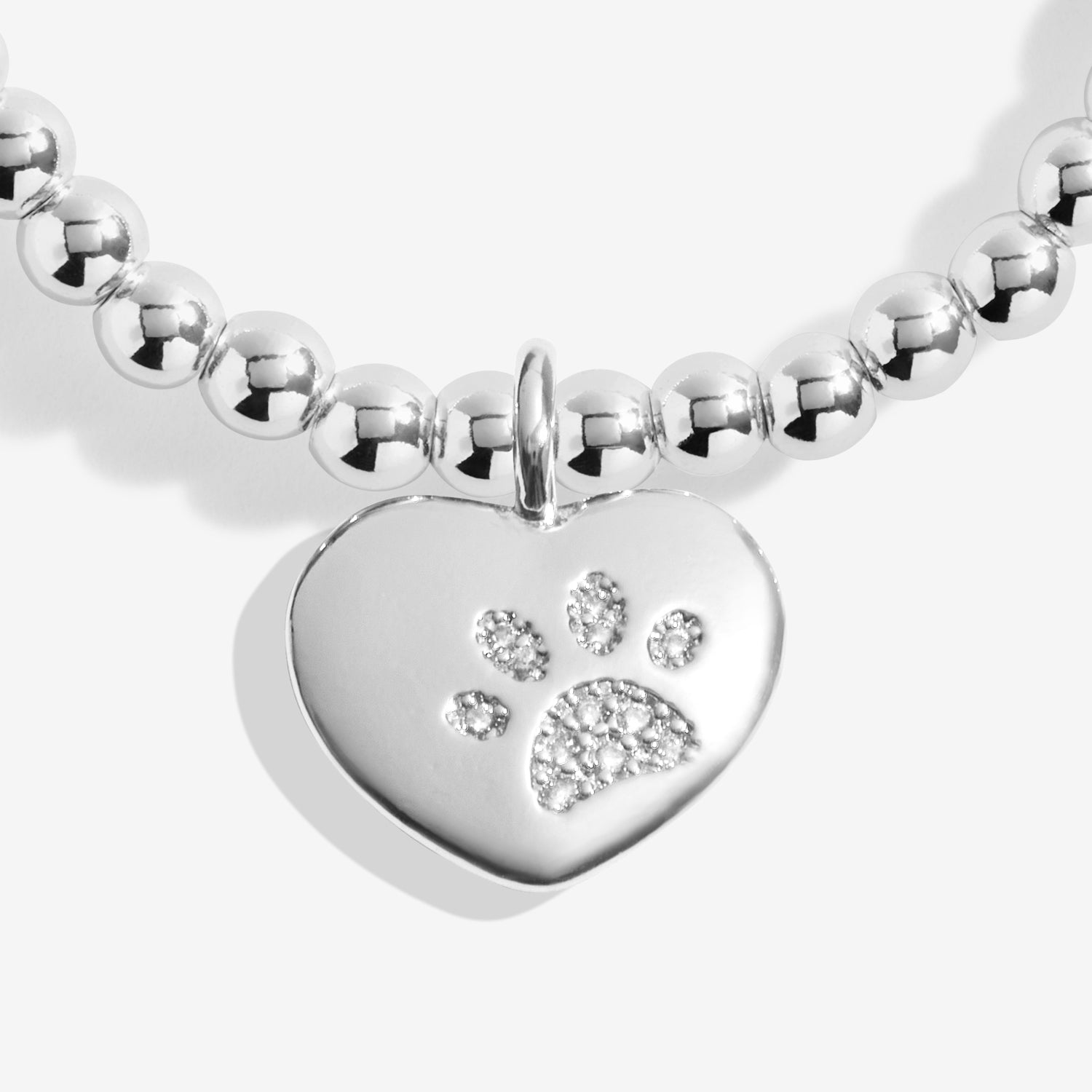 A Little 'Pets Leave Pawprints On Our Hearts' Silver Plated Bracelet
