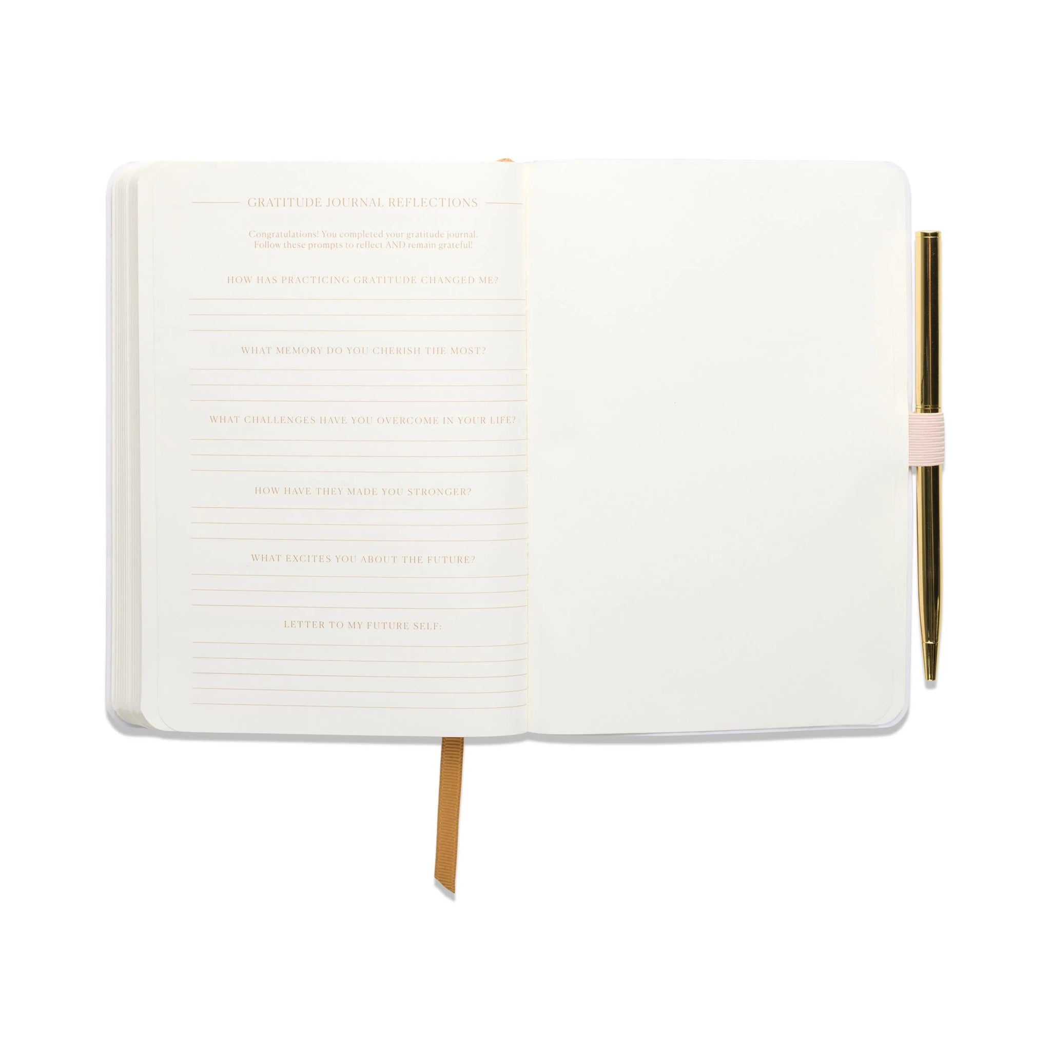 Gratitude Journal - Pause