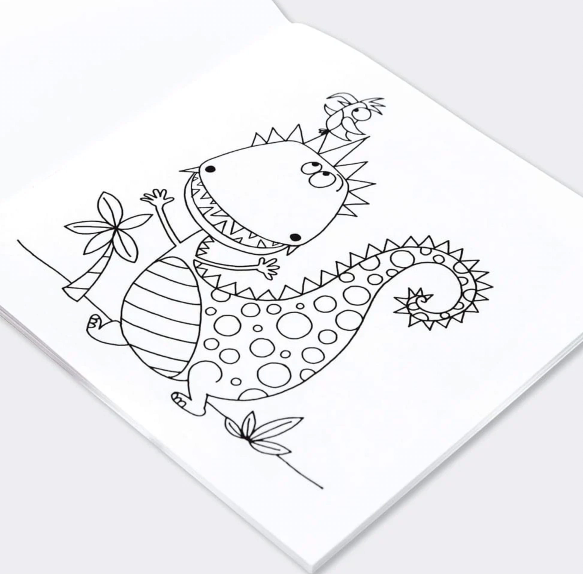 DINOSAUR COLOURING BOOK