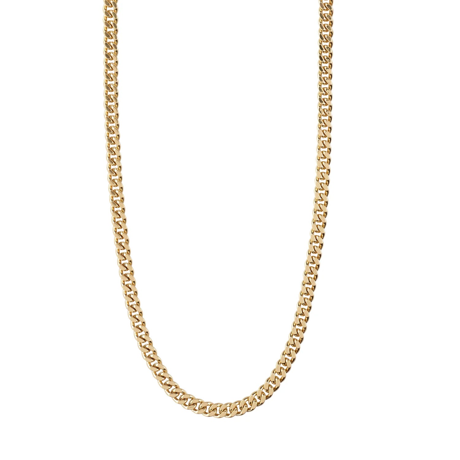 Fuchsia Curb Chain - Gold Plate - Pilgrim Jewellery