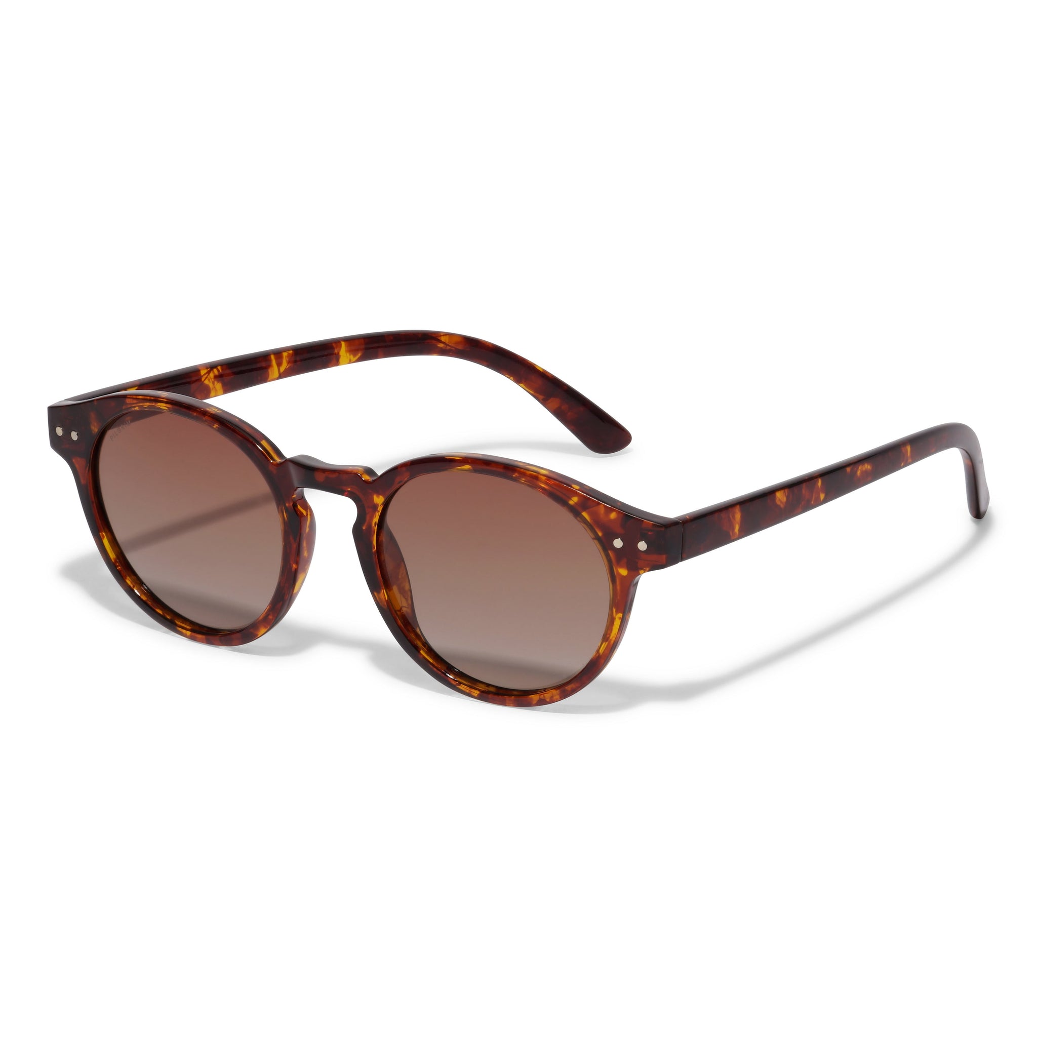 Kyrie Classic Round Sunglasses - Tortoise Brown - Pilgrim